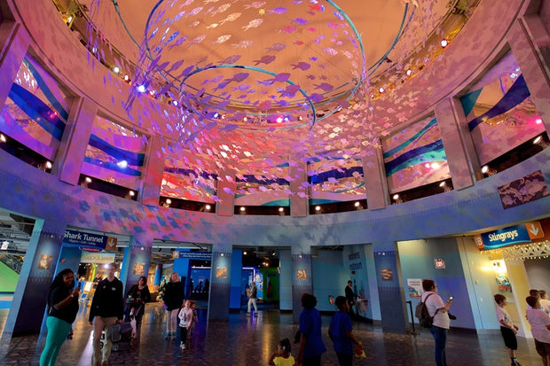 Adventure Aquarium