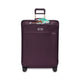 variant:46588602220736 baseline large spinner Plum