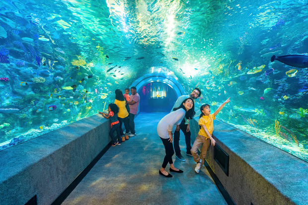 Newport Aquarium