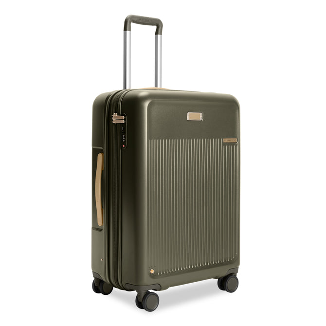 variant:46654958371008 Sympatico Medium Expandable Spinner Olive