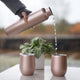 variant:41189328781504 AAA.com | SevenFifty Wine Growler And Tumbler Gift Set by FIFTY/FIFTY - Rose Gold