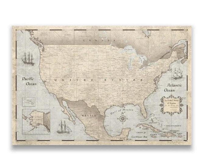 variant:43476190298304 us vintage small