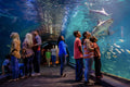 Adventure Aquarium