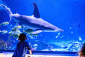 Adventure Aquarium