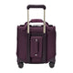 variant:46584505434304 Baseline Cabin Spinner Plum