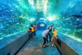 Newport Aquarium