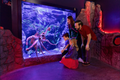 Newport Aquarium