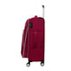 Expectant Softside Large Checked 29