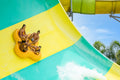 Adventure Island Tampa Colossal Curl inner tube slide