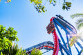Busch Gardens Tampa - Sheikra roller coaster drop