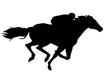Horse Racing - Nationwide