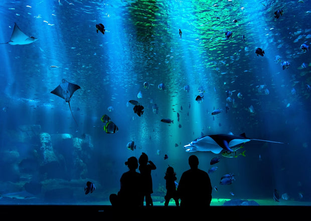 National Aquarium