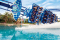 SeaWorld Orlando Manta roller coaster