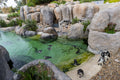 San Diego Zoo & Safari Park