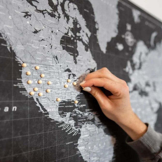 Map Push Pins - White - The Map Shop